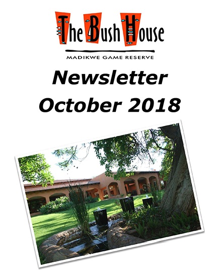 Newsletter October 2018 Cover